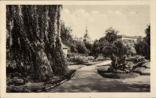 Ak Eberswalde im Kreis Barnim, Am Weidendamm