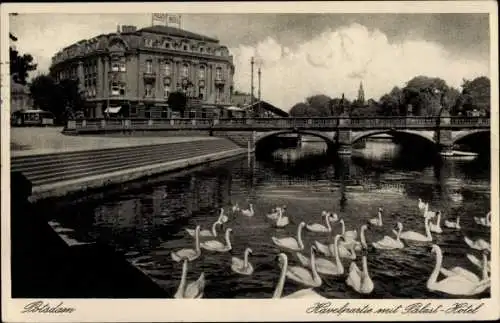 Ak Potsdam in Brandenburg, Havelpartie mit Schwänen, Blick auf das Palast Hotel