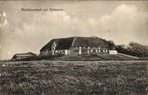 Ak Insel Pellworm Nordfriesland, Waldhusenhof