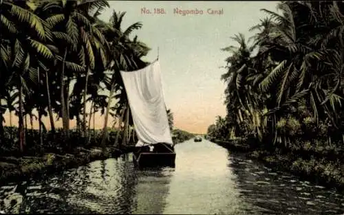 Ak Negombo Sri Lanka, Kanal