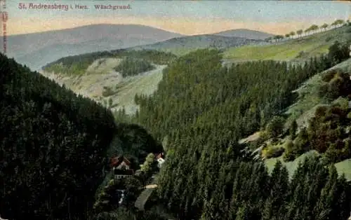 Ak Sankt Andreasberg Braunlage im Oberharz, Wäschgrund