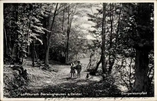 Ak Barsinghausen am Deister, Bergwiesenpfad