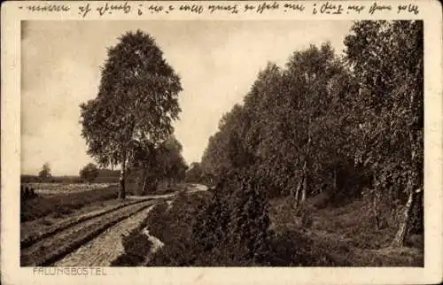 Ak Bad Fallingbostel Lüneburger Heide, Teilansicht