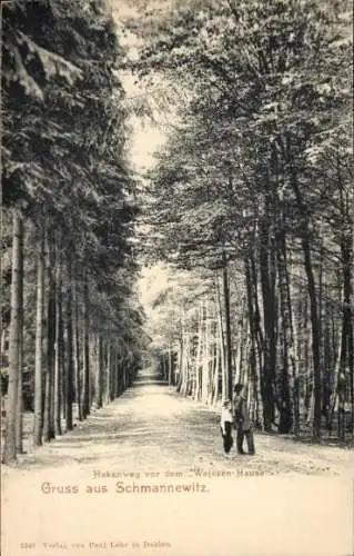 Ak Schmannewitz Dahlen in Sachsen, Hakenweg vor dem Weissen Hause