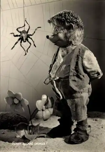 Ak Mecki der Igel, Einer spinnt immer, Spinne