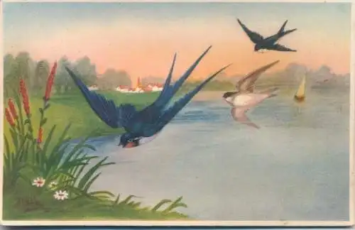 Künstler Ak Schwalben fliegen übers Wasser