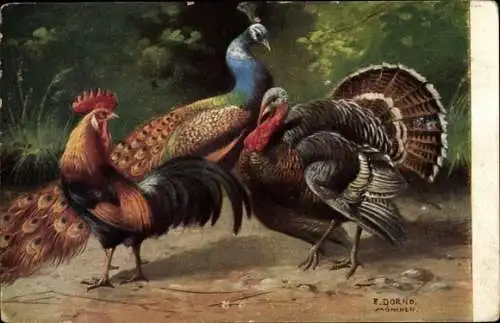 Künstler Ak Dorno, E., Hahn, Truthahn und Pfau