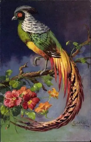 Künstler Ak Carlo, Fasan auf einem Zweig