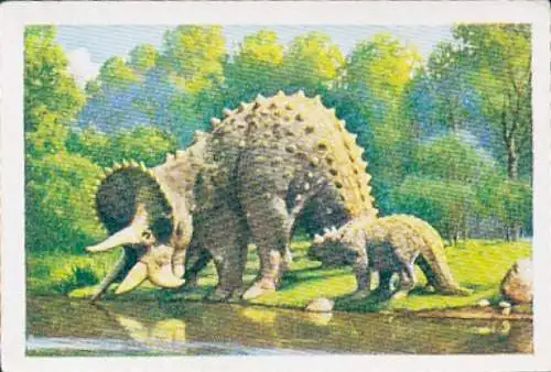 Sammelbild Die bunte Welt, Giganten der Urzeut, Triceratops