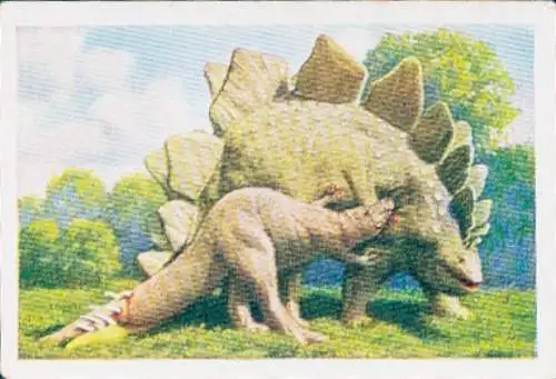 Sammelbild Die bunte Welt, Giganten der Urzeut, Ceratosauros, Stegosaurus