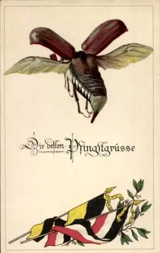 Ak Glückwunsch Pfingsten, Maikäfer, Fahnen