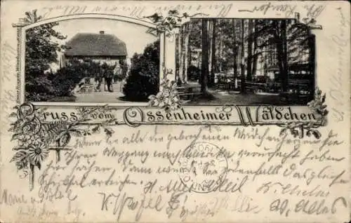 Ak Ossenheim Friedberg in Hessen, Ossenheimer Wäldchen, Gasthaus