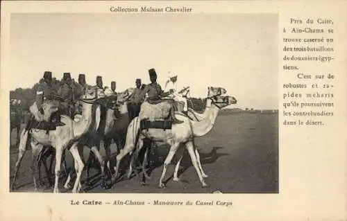 Ak Ain Chams Kairo Ägypten, Manoeuvre du Camel Corps