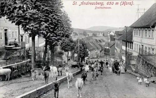 Ak Sankt Andreasberg Braunlage im Oberharz, Breite Straße, Ziegen