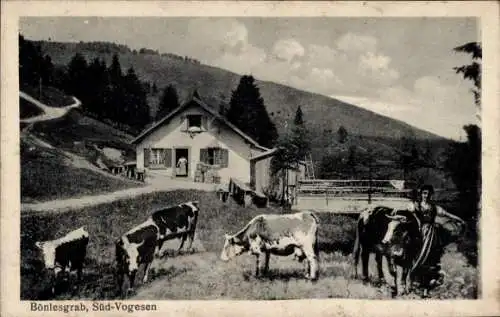 Ak Bönlesgrab Süd Vogesen, Bäuerin mit Kühen, Hütte