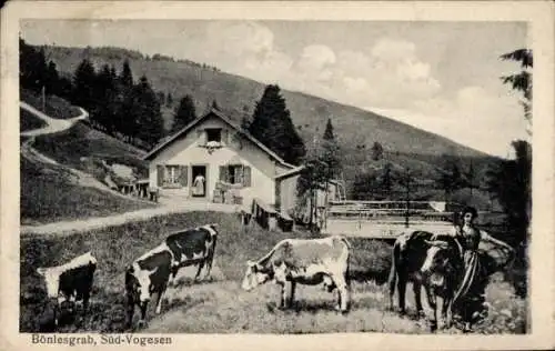 Ak Bönlesgrab Süd Vogesen, Bäuerin mit Kühen, Hütte