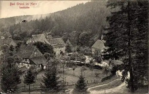 Ak Bad Grund im Harz, Blick zur Laubhütte, Wald