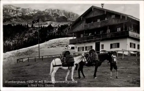 Ak Bad Tölz im Isartal Oberbayern, Blomberghaus mit Benediktenwandgruppe