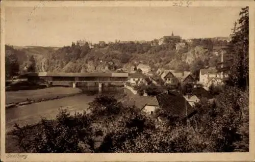 Ak Saalburg in Thüringen, Panorama, Brücke