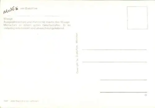 Ak Mecki der Igel, Sternzeichen Waage, Libra, 24. September bis 23. Oktober, Igelkinder auf Wippe