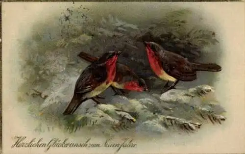 Ak Glückwunsch Neujahr, Vögel, Schnee, Tannenzweige