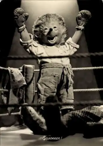 Ak Gewonnen, Mecki der Igel ist Sieger bei einem Boxkampf