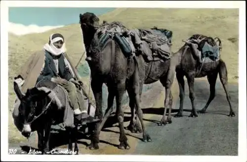 Ak Libanon, Wüste, Araber, Maghreb, Kamele