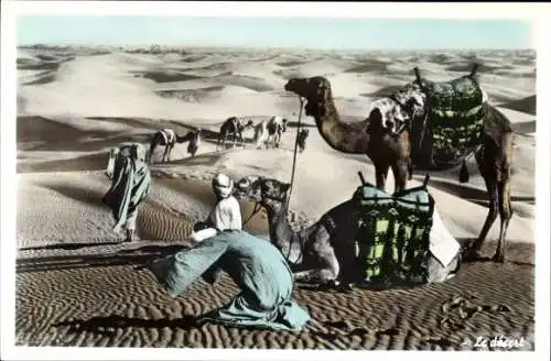 Ak Afrika, Wüste, Betender Mann, Maghreb, Kamele