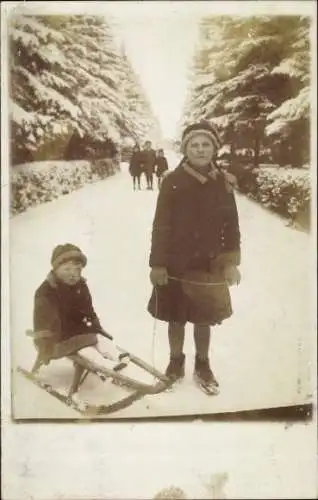 Foto Ak Kinder, Schlittenfahrt, Allee, Tannenbäume