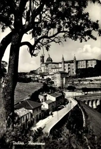 Ak Urbino Marche, Panorama