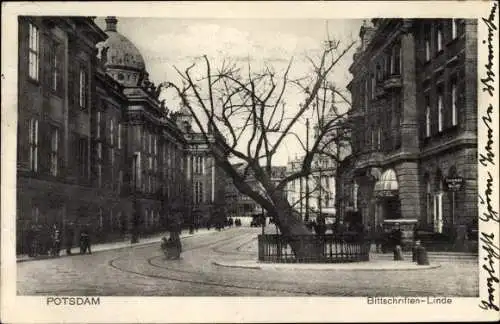 Ak Potsdam in Brandenburg, Bittschriften Linde