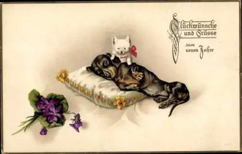 Ak Fröhliches Neujahr, Dackel auf einem Kissen, kleiner weißer Hund, Veilchen