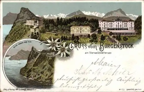 Litho Bürgenstock Kanton Nidwalden, Blick gegen den Rigi, Hotels