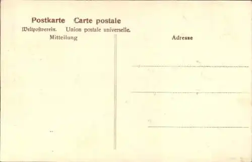 Ak Mulhouse Mülhausen Elsass Haut Rhin, Gänseplatz