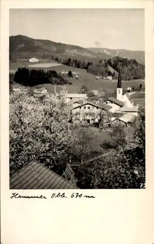Ak Hammer Siegsdorf in Oberbayern, Teilansicht