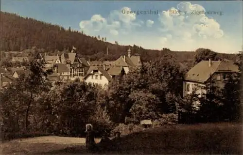 Ak Georgenthal in Thüringen, Teilansicht, Blick vom Zigeunerweg
