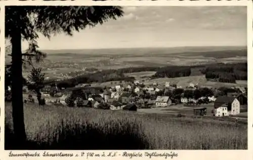 Ak Schnarrtanne Auerbach im Vogtland, Panorama