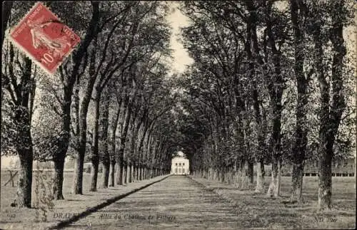 Ak Draveil Essonne, Allée du Château