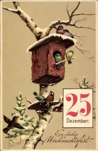 Präge Ak Glückwunsch Weihnachten, Kalender, Vogelhäuschen, Vögel