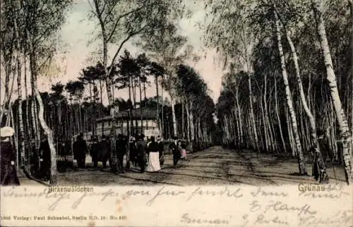 Ak Berlin Köpenick Grünau, Birkenwäldchen