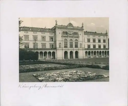 Foto Kaliningrad Königsberg Ostpreußen, Universität