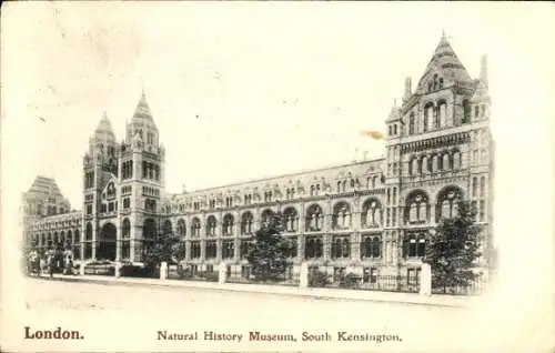 Ak South Kensington London, Natural History Museum by Waterhouse