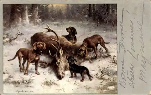 Künstler Ak Reichert, C., Waidmanns Heil, Jagdhunde erlegen Hirsch, Dackel