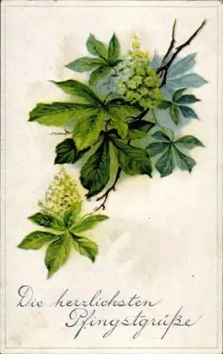 Ak Glückwunsch Pfingsten, Blühender Baum, Laubblätter