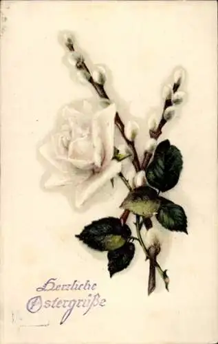 Präge Ak Glückwunsch Ostern, Weidenkätzchen, Weiße Rose
