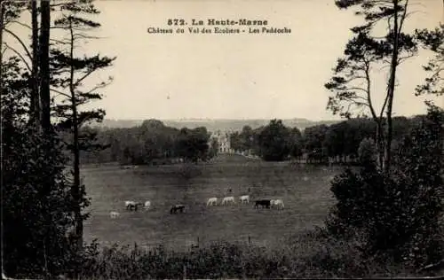 Ak Haute Marne, Chateau du Val des Ecoliers, Les Paddochs