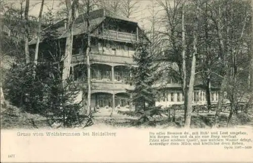 Ak Heidelberg am Neckar, Wolfsbrunnen, Gedicht Opitz