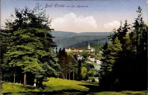 Ak Bad Elster im Vogtland, Panorama, Blick von der Agnesruh