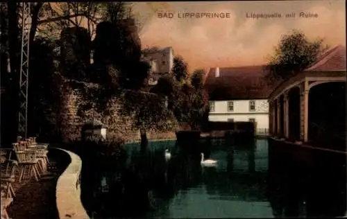 Ak Bad Lippspringe in Westfalen, Lippquelle, Ruine, Schwäne