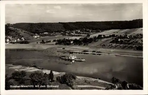 Ak Goltzscha Diesbar Seußlitz Nünchritz in Sachsen, Golkwald, Panorama